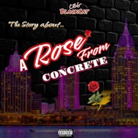 the cover of a rose from concrete