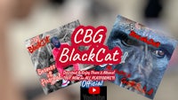 cbg6 blackcat - cbg6 blackcat - cbg6 blackcat - cb